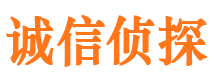 回民侦探